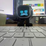 Image 4 Pfoten als Feel-Good-Manager? Eher nicht! 4 Pfoten als Feel-Good-Manager? Eher nicht!